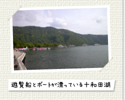 遊覧船とボートが漂っている十和田湖